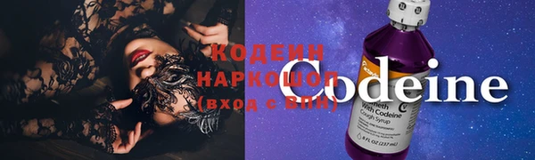 прущий лед Козловка
