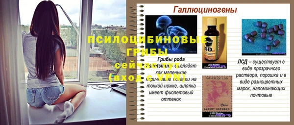 прущий лед Козловка